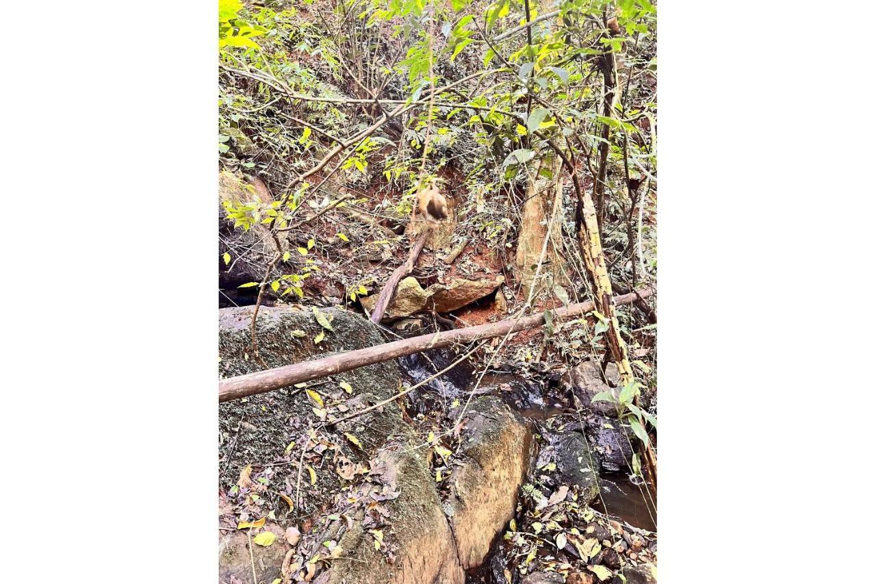 Vale Das Araucarias Pousada Em Serra Negra S. Paulo Zewnętrze zdjęcie